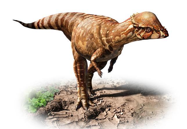 Nombres de dinosaurios herbívoros