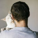 Porque llega un gato a tu vida