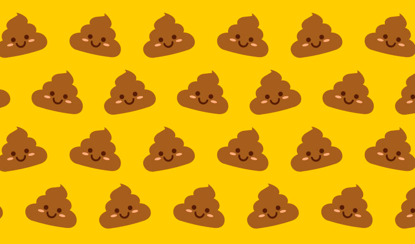 Porque los perros se comen la caca