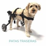Protesis para perros pata trasera