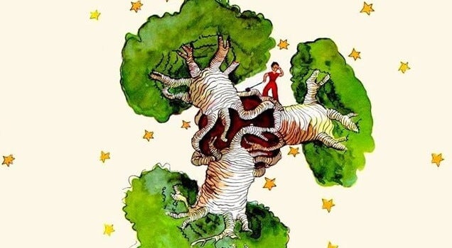 Reflexion del libro el principito