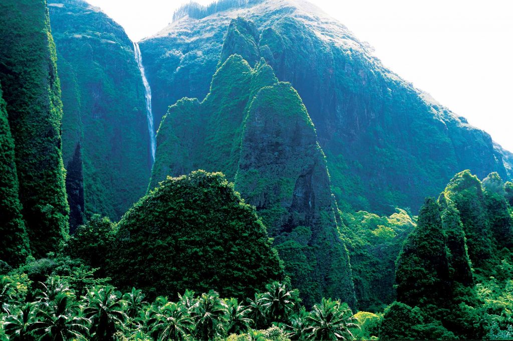 Tribus canibales del amazonas