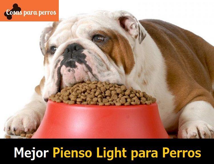 Comida casera para perros cachorros