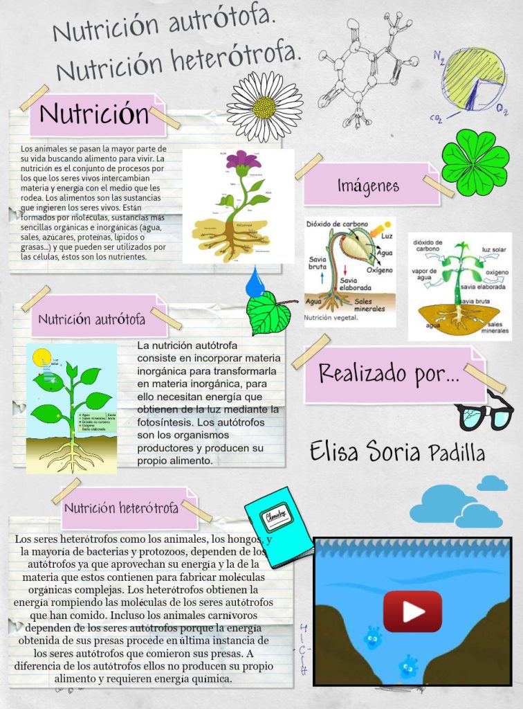 Diferencia entre nutricion autotrofa y heterotrofa