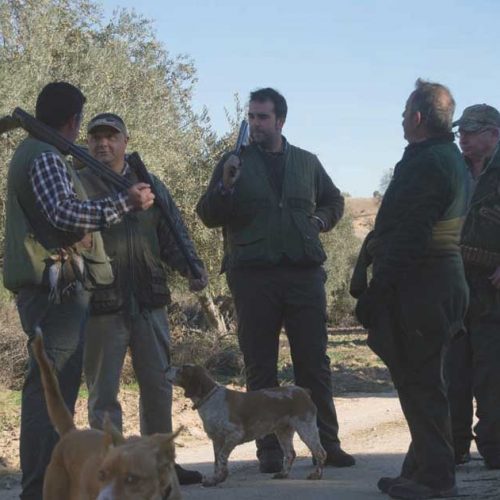 Perros miniatura especies representativas