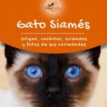 Tipos de gatos siameses