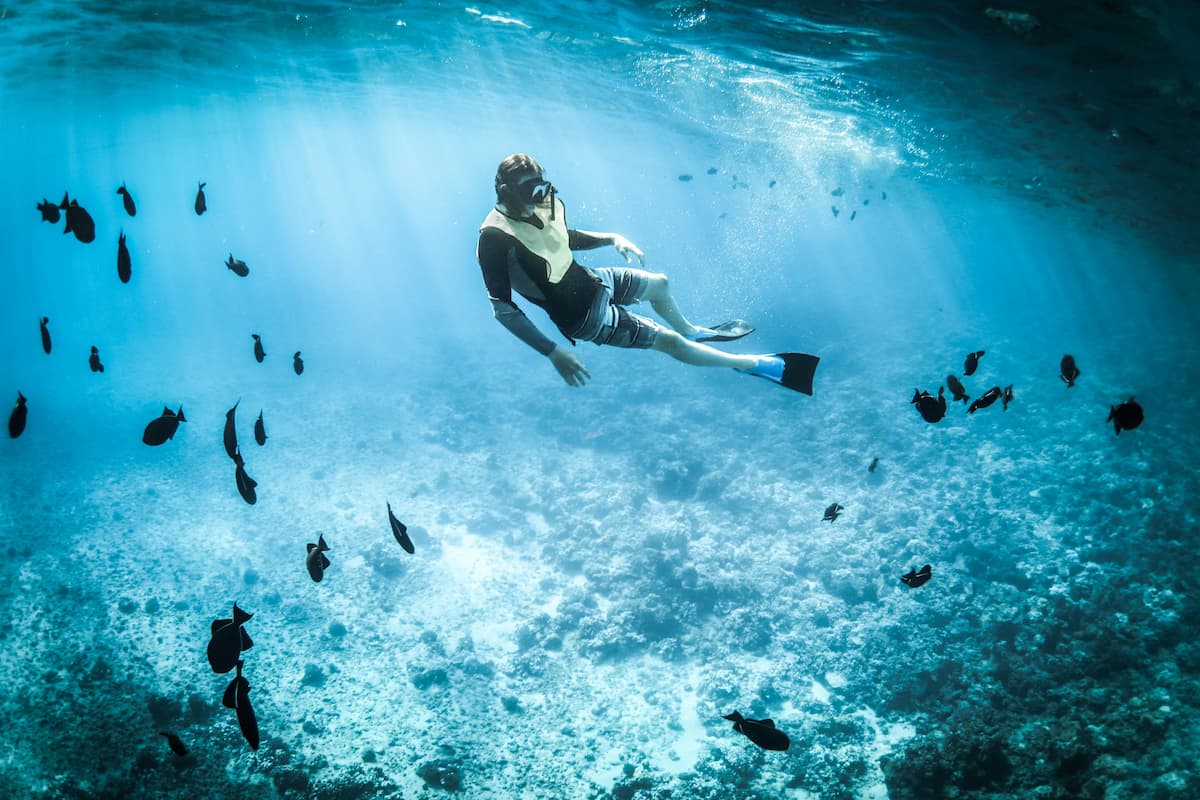 Snorkel, playas paradisíacas, animales exóticos y relax así es Isla Contoy