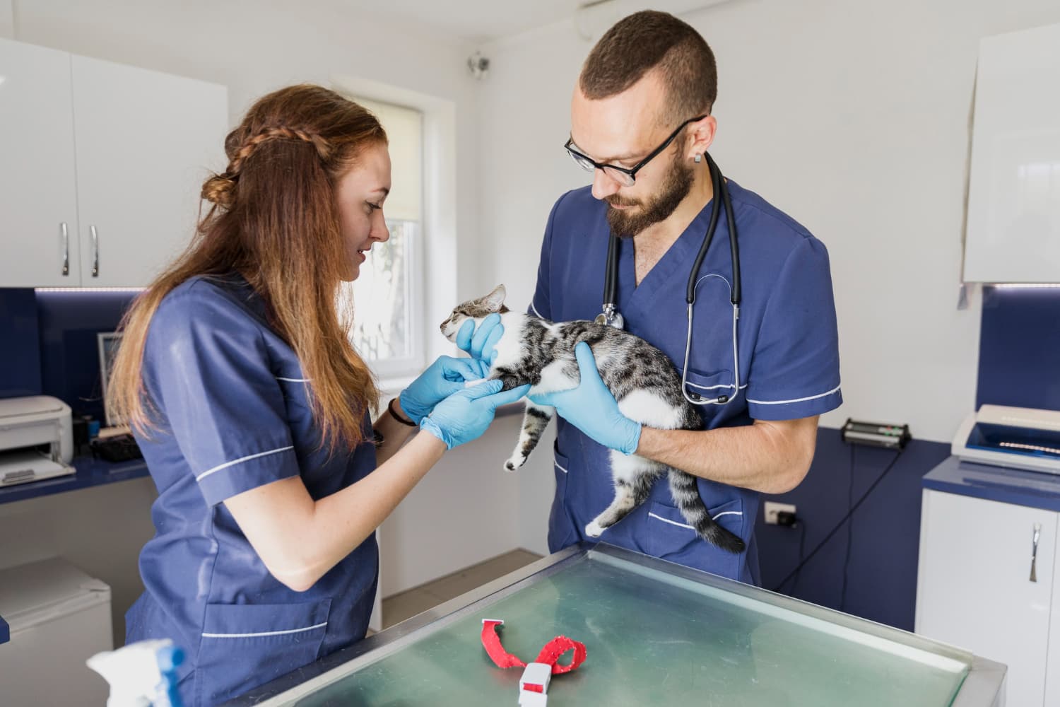 Cómo tratar las enfermedades cutáneas de tu mascota