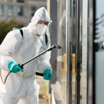 Desinsectación en Madrid Una solución profesional ante plagas urbanas