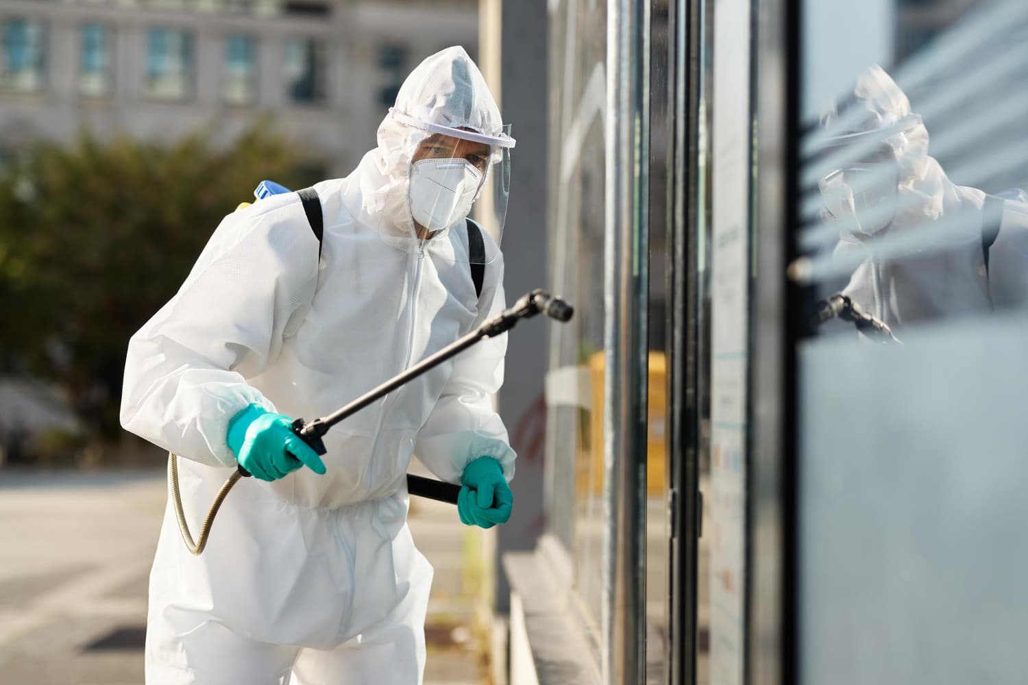 Desinsectación en Madrid Una solución profesional ante plagas urbanas